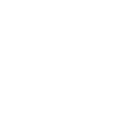 Government Entities